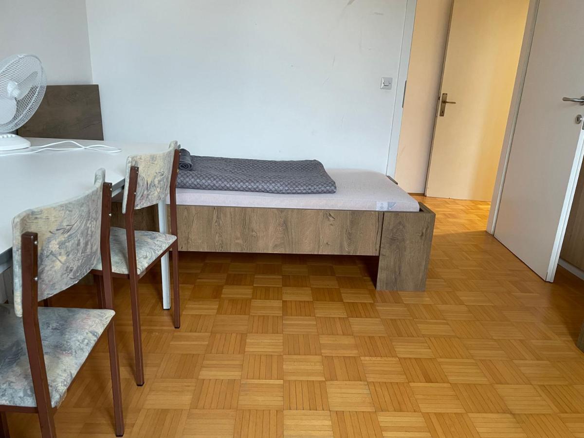 Roseman III - Centraly Located, Old Spacious Apartment Ljubljana Bagian luar foto